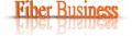 Fiber Business 25Mbs